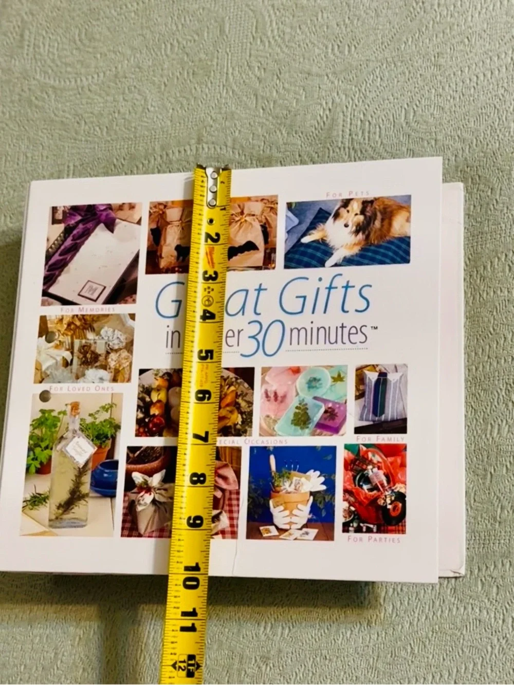 Great Gifts in Under 30 Minutes – Home Accents Book, barely used.